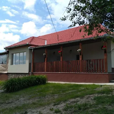 Patakparti Vendeghaz * Nyiri